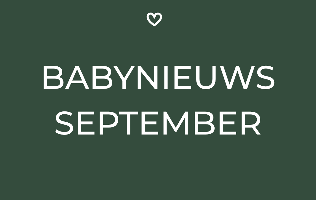 September 2026
